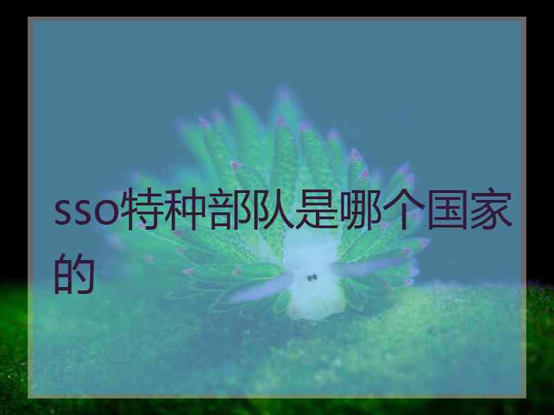 sso特种部队是哪个国家的