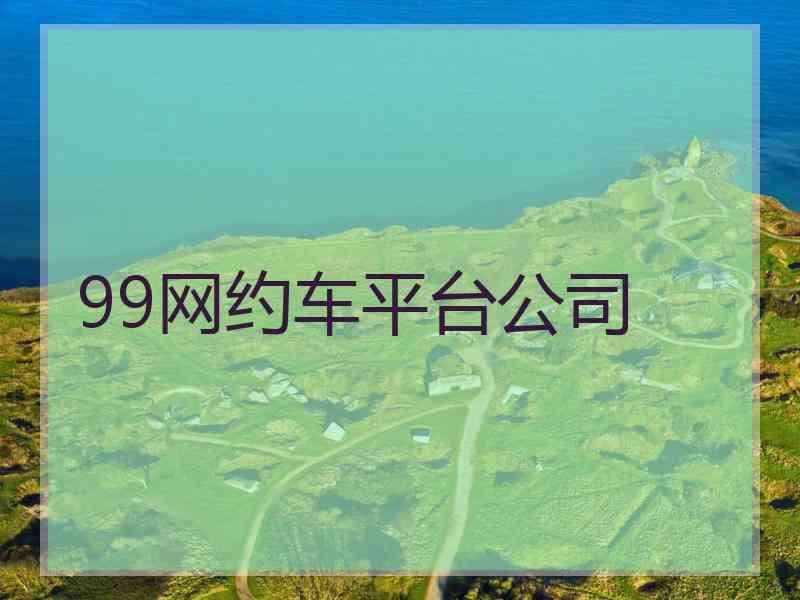 99网约车平台公司