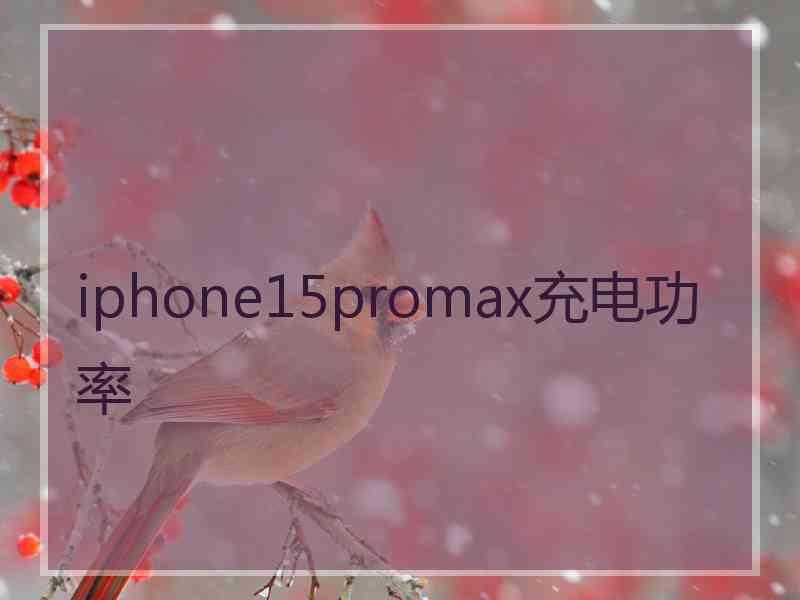 iphone15promax充电功率