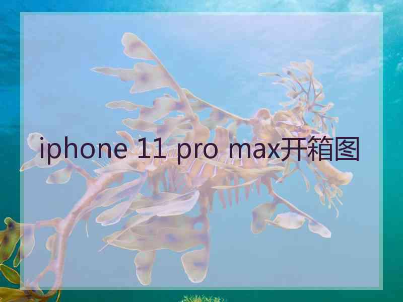 iphone 11 pro max开箱图