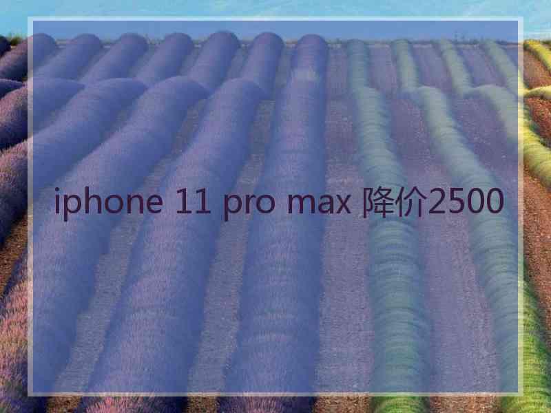 iphone 11 pro max 降价2500