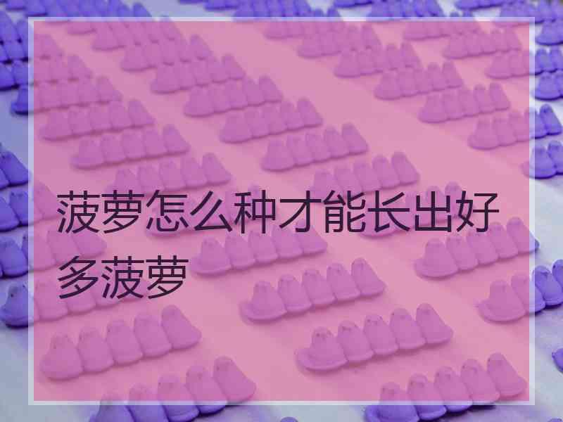 菠萝怎么种才能长出好多菠萝