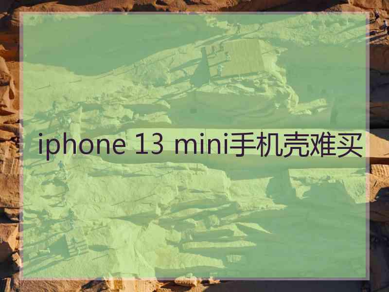 iphone 13 mini手机壳难买