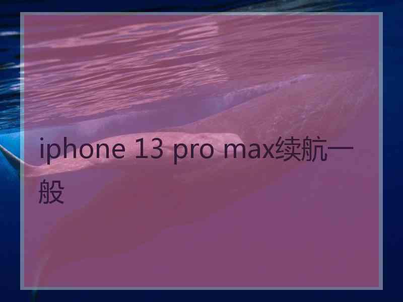 iphone 13 pro max续航一般