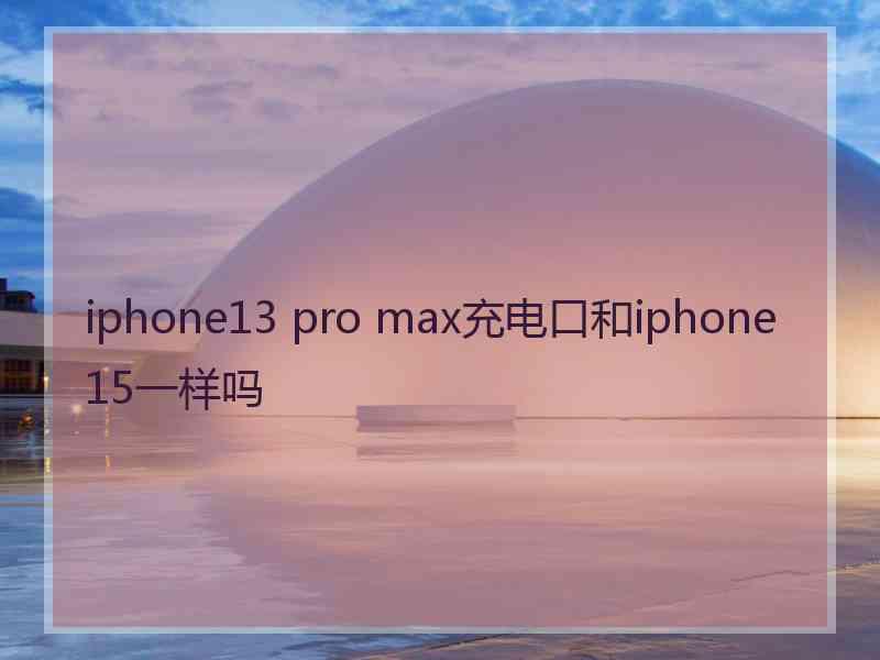 iphone13 pro max充电口和iphone15一样吗