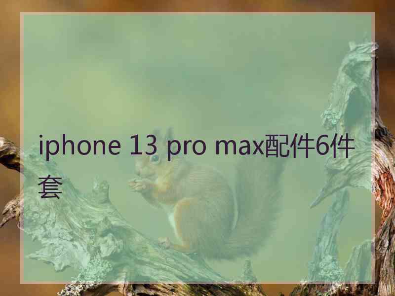 iphone 13 pro max配件6件套