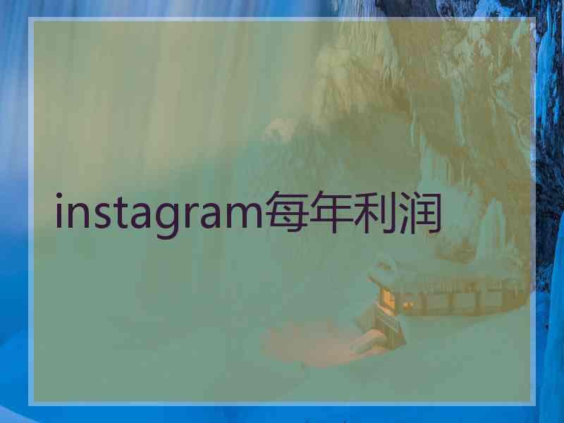 instagram每年利润