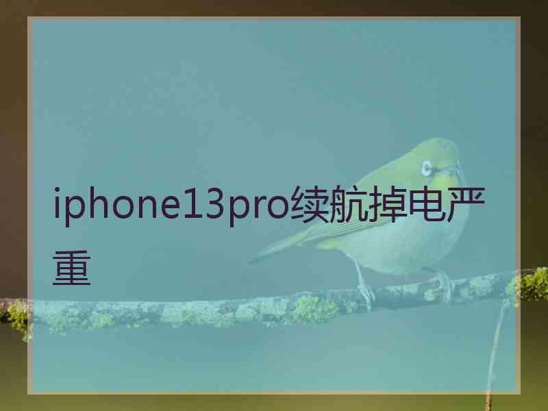 iphone13pro续航掉电严重