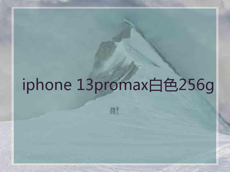 iphone 13promax白色256g