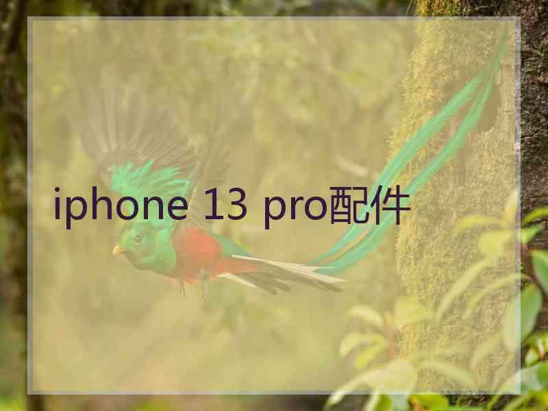 iphone 13 pro配件