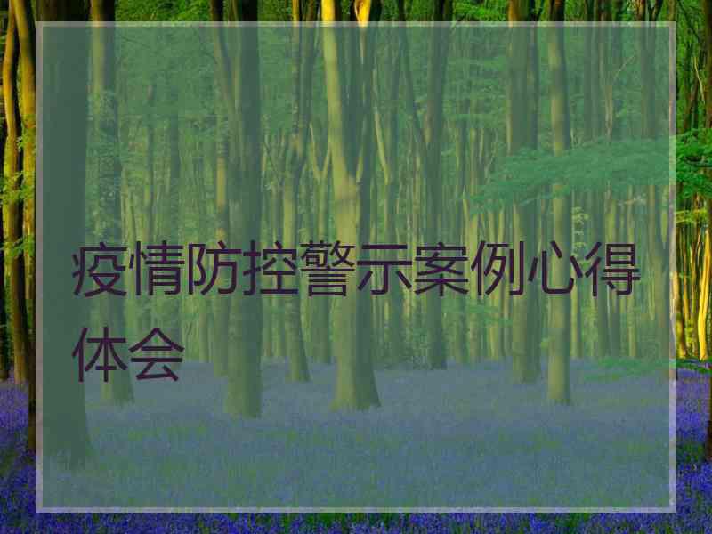 疫情防控警示案例心得体会