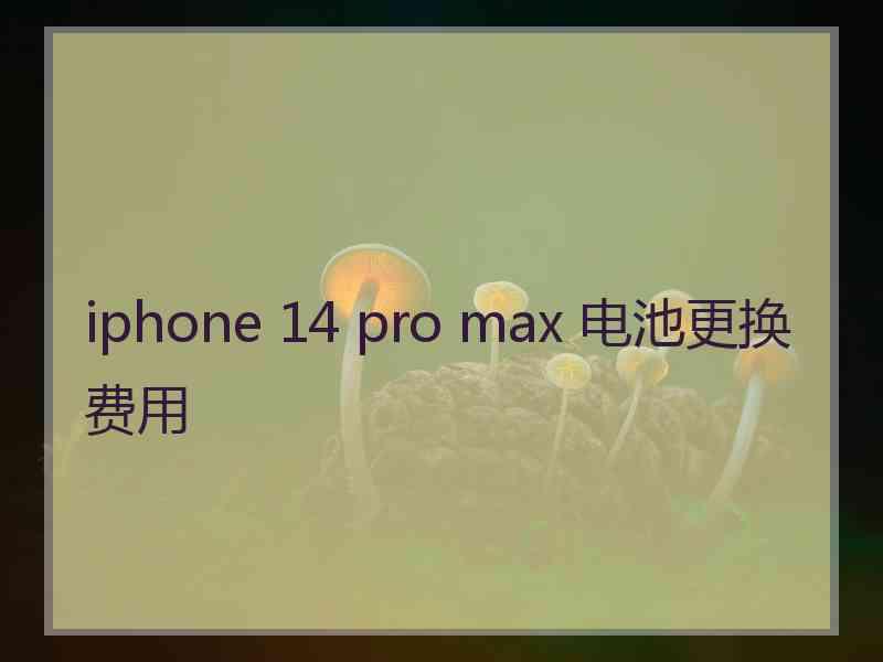 iphone 14 pro max 电池更换费用