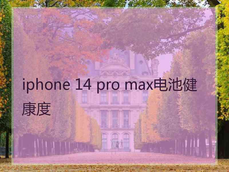 iphone 14 pro max电池健康度