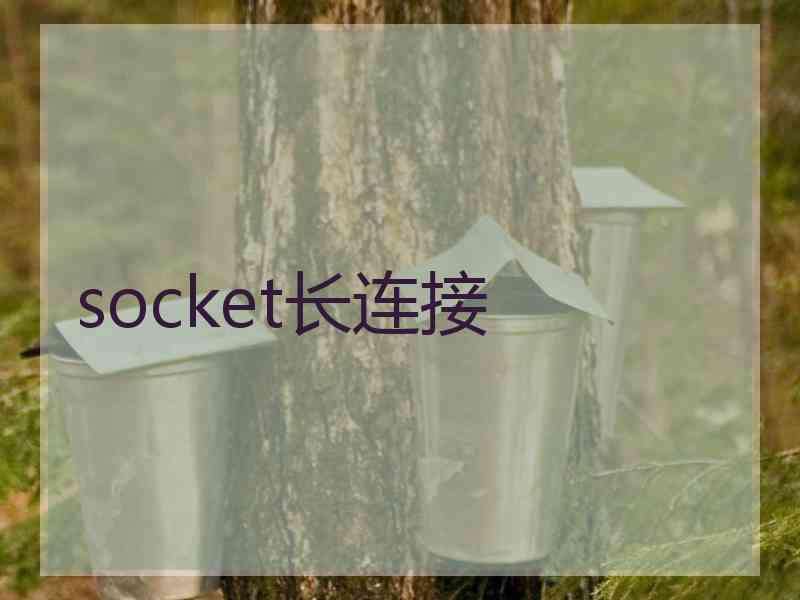 socket长连接