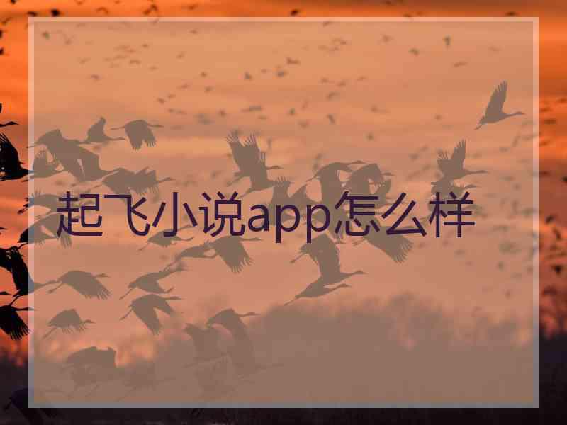 起飞小说app怎么样