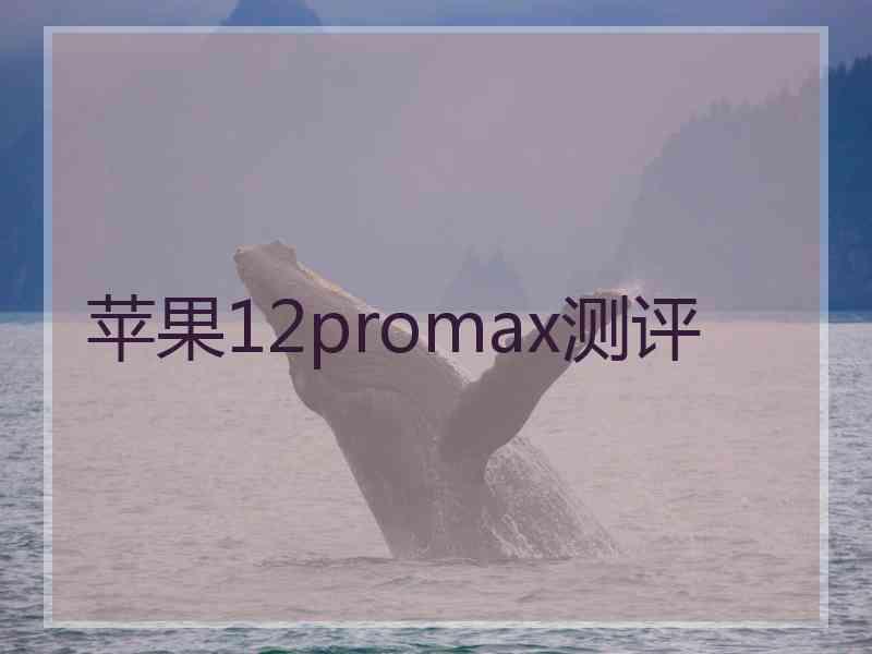 苹果12promax测评