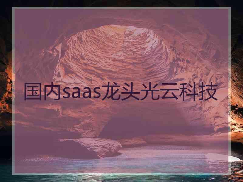 国内saas龙头光云科技