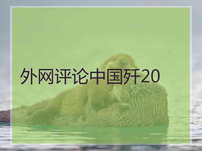 外网评论中国歼20