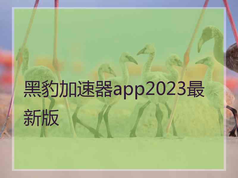 黑豹加速器app2023最新版