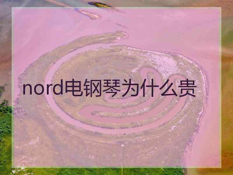 nord电钢琴为什么贵