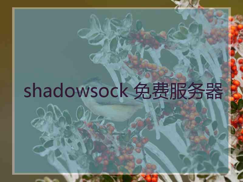 shadowsock 免费服务器