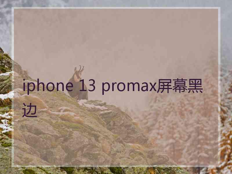 iphone 13 promax屏幕黑边