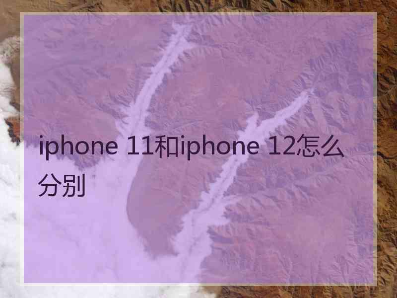 iphone 11和iphone 12怎么分别