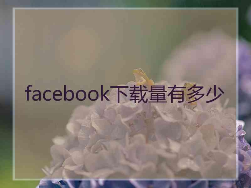 facebook下载量有多少