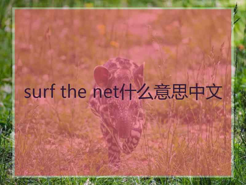 surf the net什么意思中文