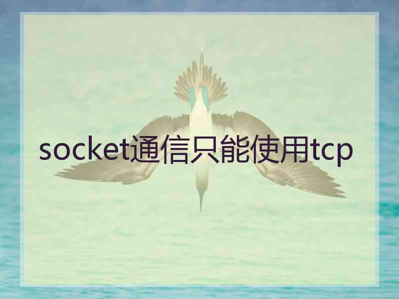 socket通信只能使用tcp