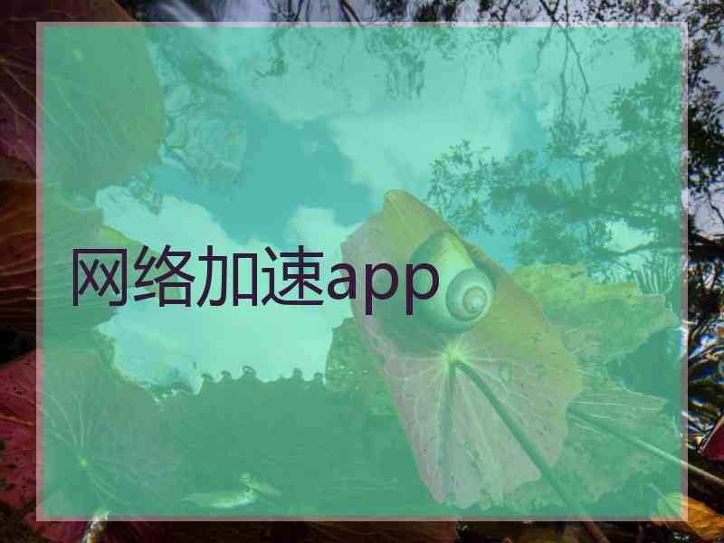 网络加速app