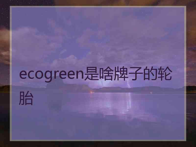 ecogreen是啥牌子的轮胎