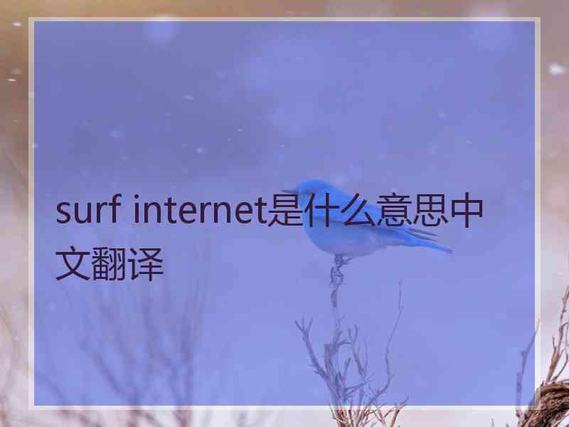 surf internet是什么意思中文翻译