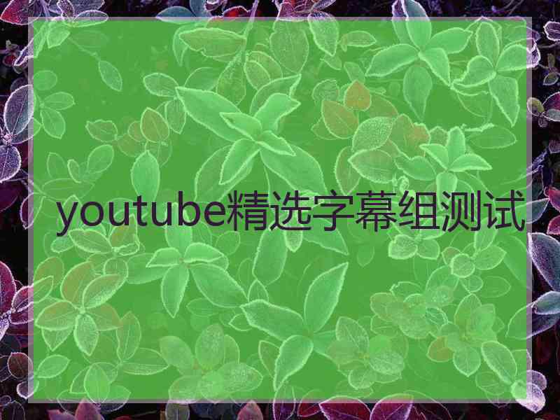 youtube精选字幕组测试