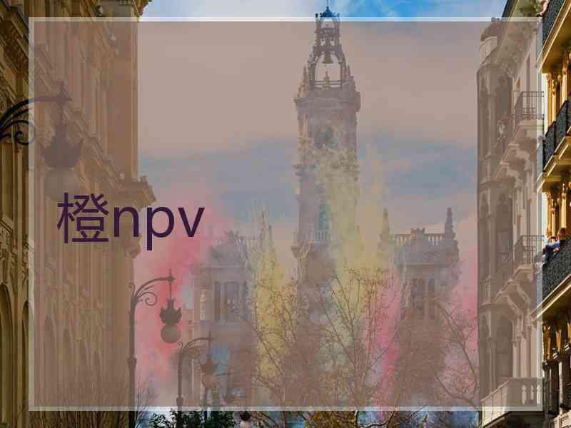 橙npv