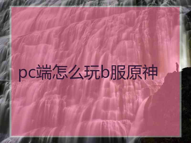 pc端怎么玩b服原神