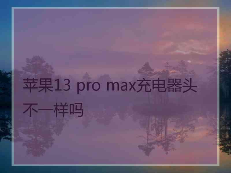 苹果13 pro max充电器头不一样吗