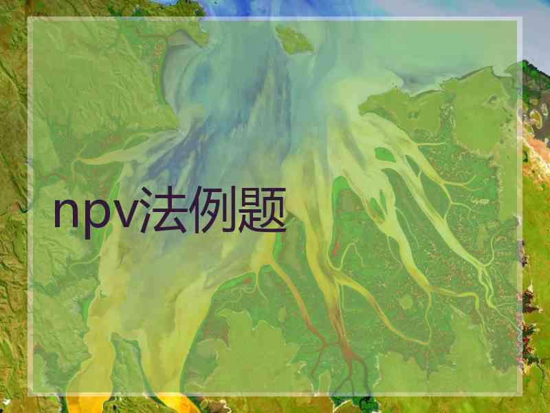 npv法例题