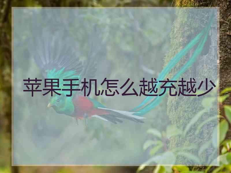 苹果手机怎么越充越少