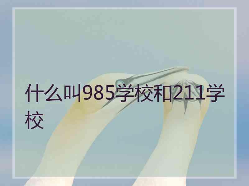 什么叫985学校和211学校