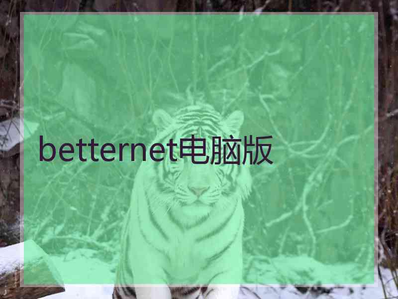 betternet电脑版