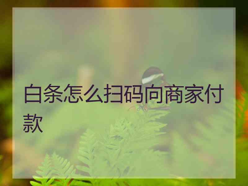 白条怎么扫码向商家付款