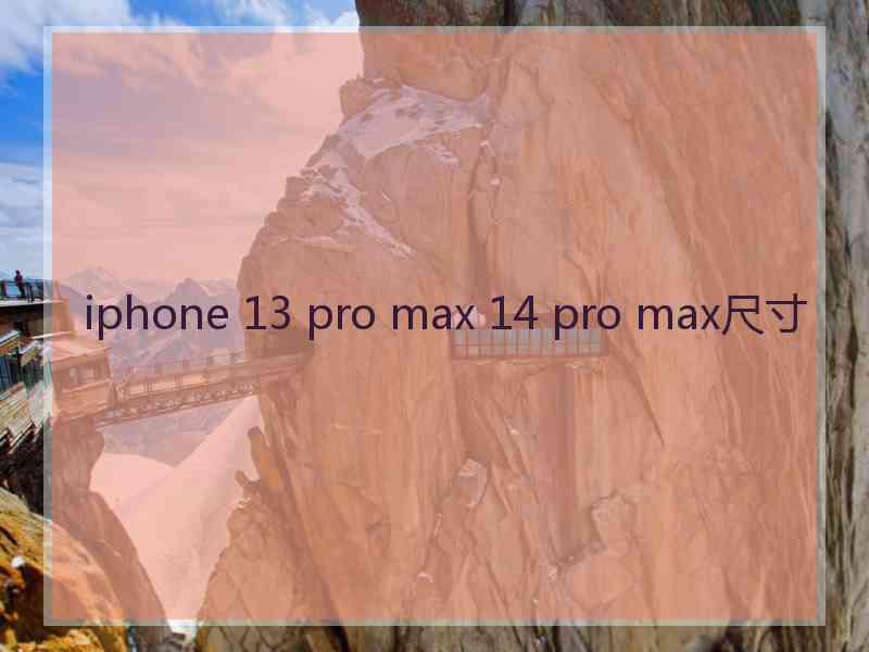 iphone 13 pro max 14 pro max尺寸