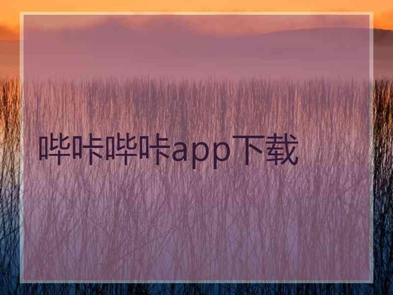 哔咔哔咔app下载