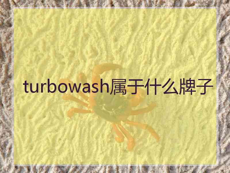 turbowash属于什么牌子