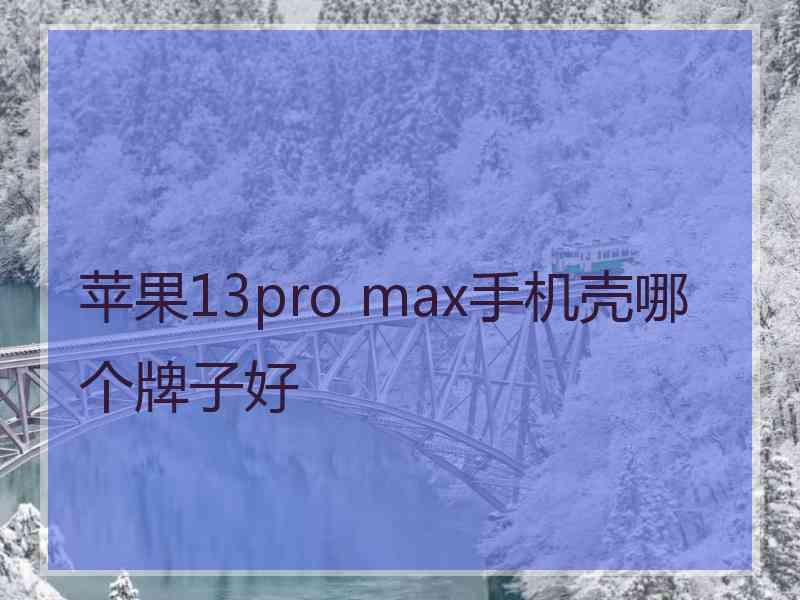 苹果13pro max手机壳哪个牌子好