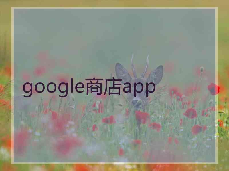 google商店app