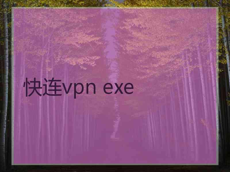 快连vpn exe