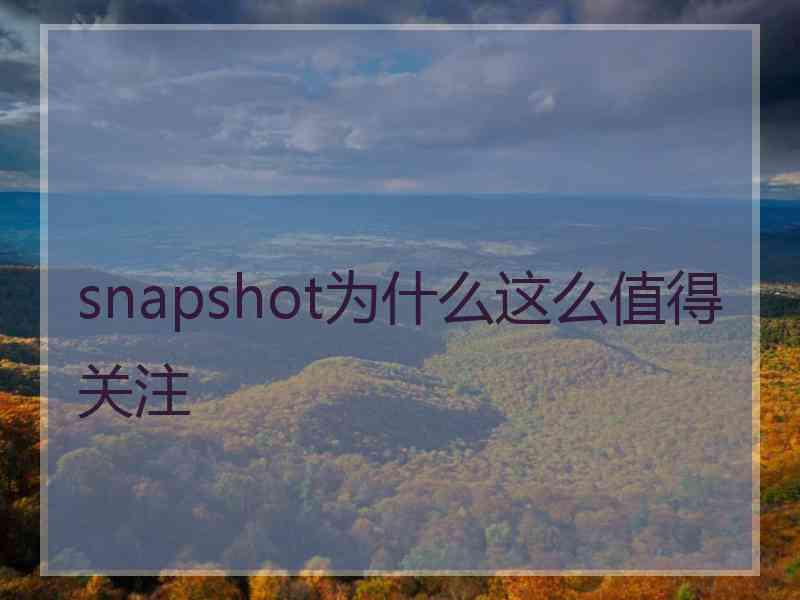 snapshot为什么这么值得关注