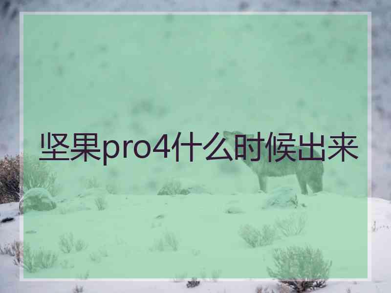 坚果pro4什么时候出来